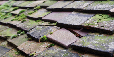 Eastrea roof repair costs